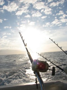 fishing reel off the boat at sunset